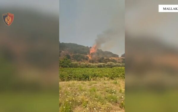 situata e zjarreve në