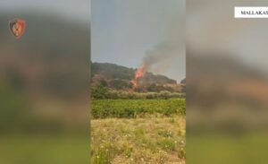 Rikthehen zjarret në Mallakastër  situatë kritike në një prej fshatrave  Rrezikohen dhe banesa  era favorizon flakët  Dysh