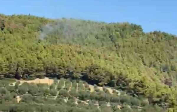 të qëllimshme