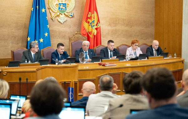 NË DELEGACIONIN E