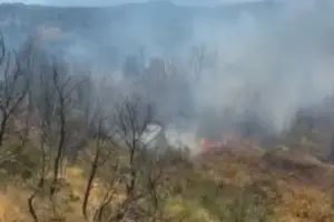 pisha, ullishte dhe