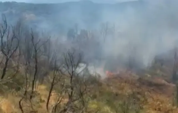pisha, ullishte dhe