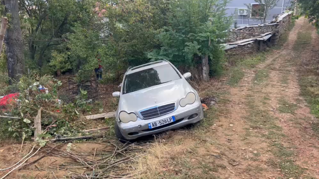 Ngjarja tragjike  policia jep detaje  Ndodhi pasi shoferi kish lënë pa siguruar frenat e dorës