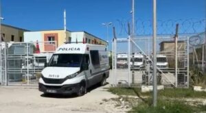  Kopsht zoologjik në burgun e sigurisë së lartë   Gazetari bën deklaratëne fortë  Luanë  pitbulla dhe arinj nëpër