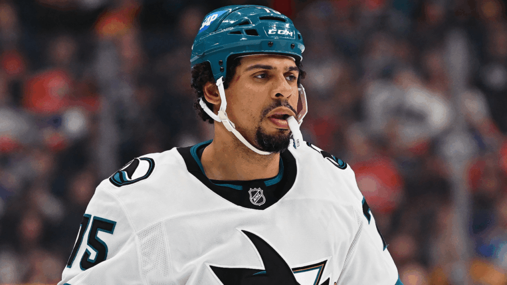 Ryan Reaves tërhiqet nga NHL pas 16 sezoneve dhe 962 ndeshjesh