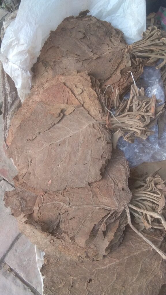 Ulqin  Policia sekuestron 20 kg duhan të dyshuar për tregti të paligjshme