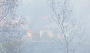 Situatë alarmante me flakët në Fier  banorët nisin evakuimin  Flet kreu i Emergjencave Civile  Çako  Zjarri ka marrë përm
