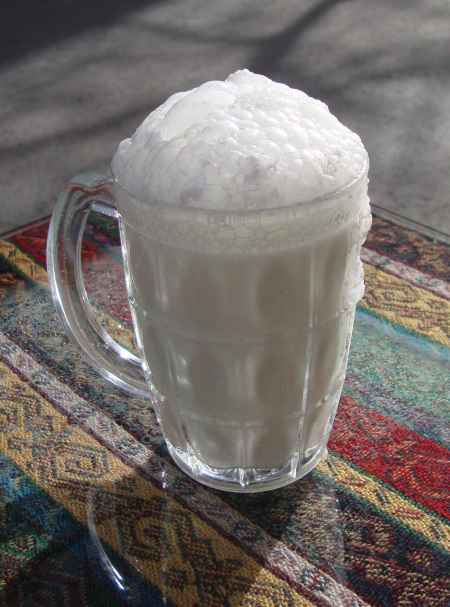 Ayran tradicional turk — pija freskuese me kos
