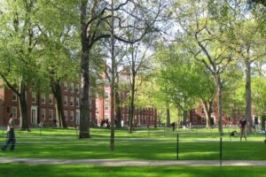 Kampi universitar i Harvardit