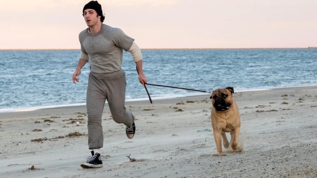AFI Fest mbyll listën e premierave të tapetit të kuq   I Play Rocky  dhe  Ray Gunn  i Brad Bird