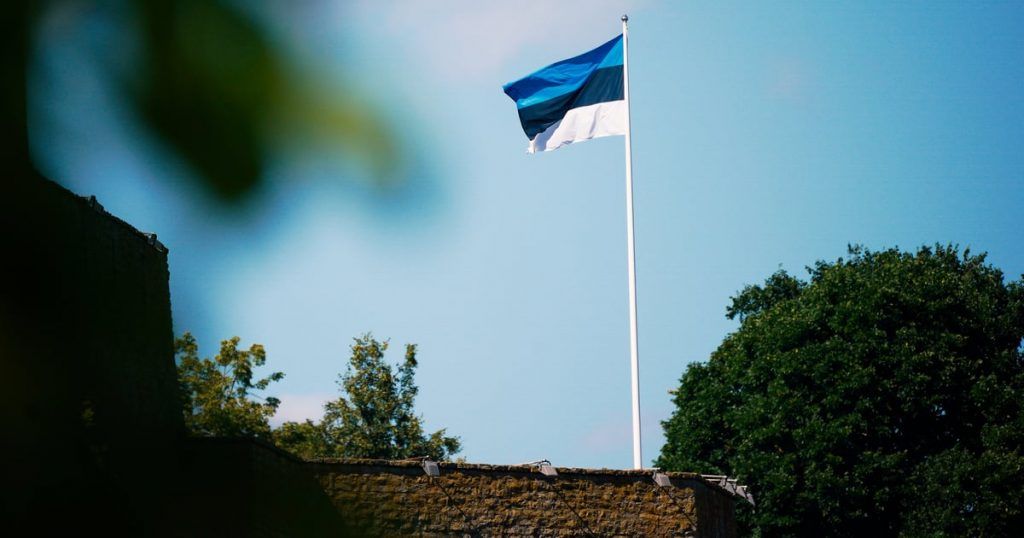 Inteligjenca estoneze