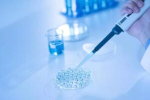 në fertilitetin mashkullor