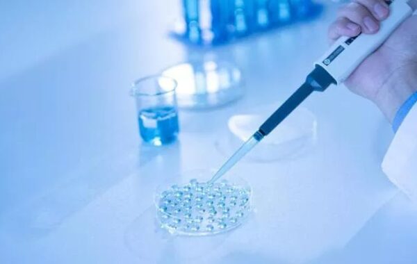 në fertilitetin mashkullor