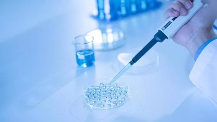 në fertilitetin mashkullor