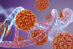 kundër hepatitit B