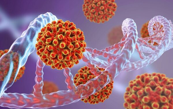 kundër hepatitit B