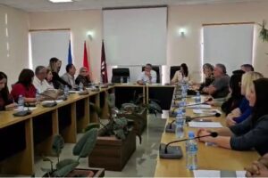 Këshilli Bashkiak i Cërrikut
