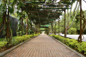 Kigali, kryeqyteti i Ruandës
