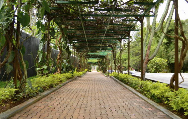 Kigali, kryeqyteti i Ruandës