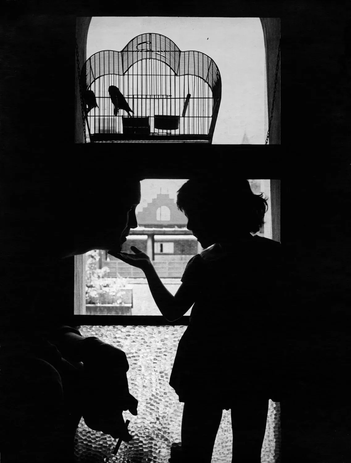 Vepër fotografike e Nelson Garrido-s