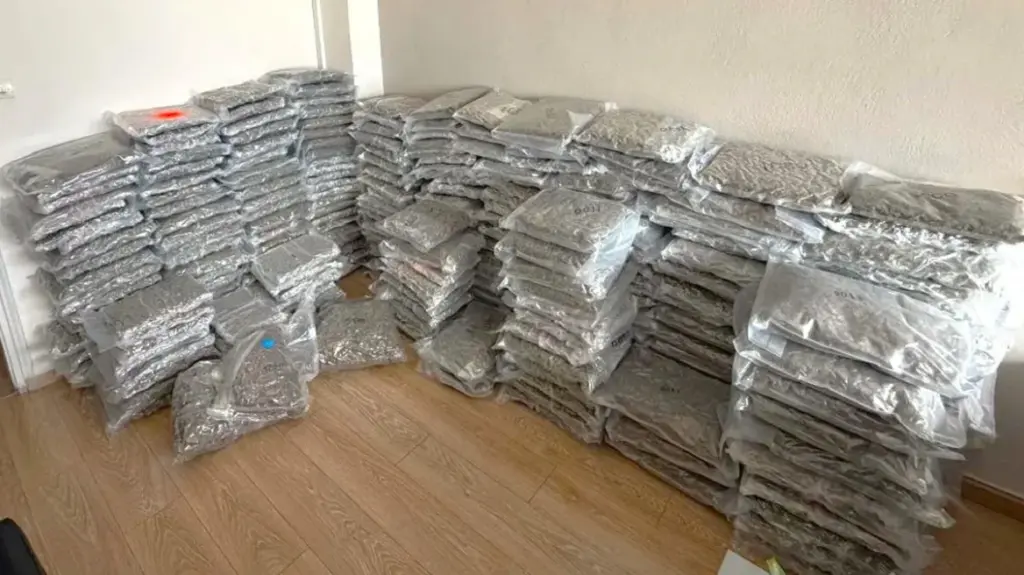 300 kg kanabis e fshehur në kamion  arrestohet një person në Greqi  Droga me vlerë mbi 1 2 milion euro