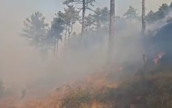 Rëndohet situata