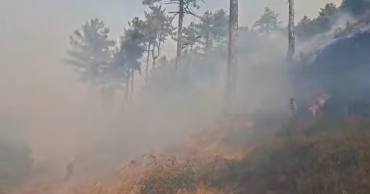 evakuimi i banorëve