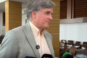 Ambasadori i OSBE