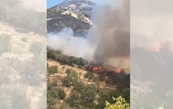 vatra të tjera zjarri