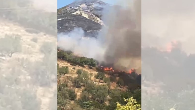 vatra të tjera zjarri