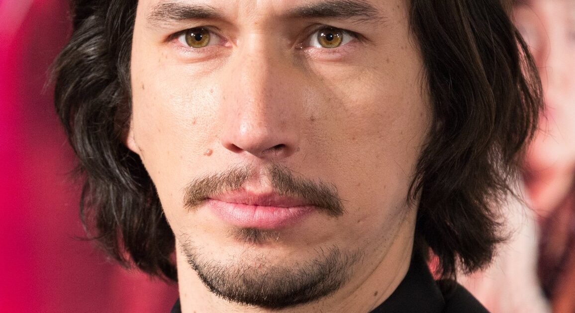 Adam Driver, protagonisti i filmit «Paper Tiger»