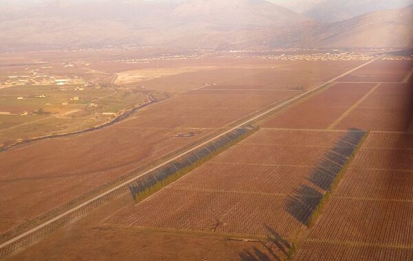 Vreshtat e kompanisë Plantaže në fushën e Ćemovsko poljes pranë Podgoricës