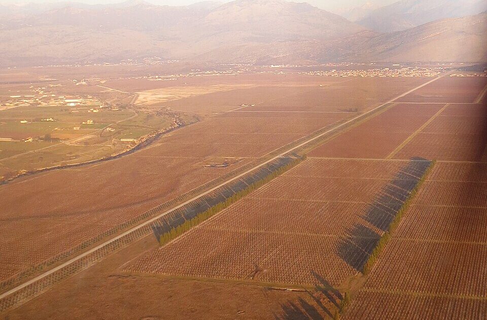 Vreshtat e kompanisë Plantaže në fushën e Ćemovsko poljes pranë Podgoricës