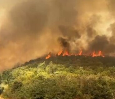Situatë alarmante