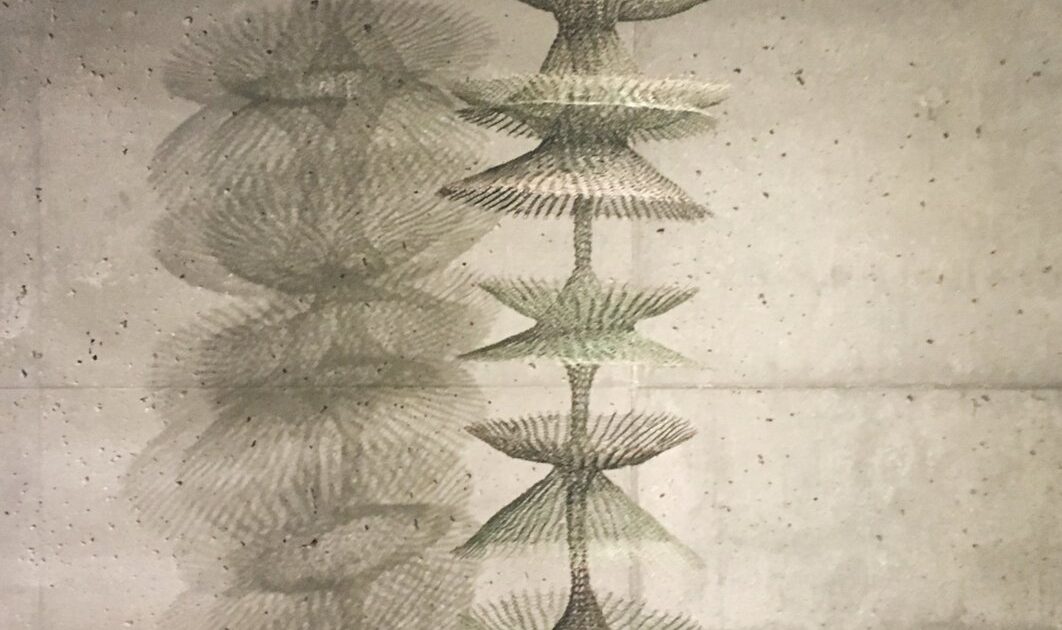Skulpturë e Ruth Asawa-s në De Young Museum (foto: CC BY-SA 4.0)