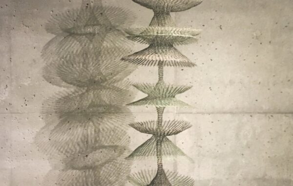 Skulpturë e Ruth Asawa-s në De Young Museum (foto: CC BY-SA 4.0)