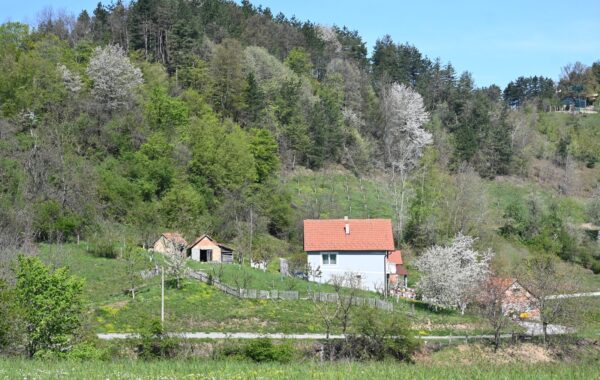 Shtëpi fshati në Serbi