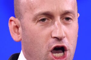 Stephen Miller duke folur