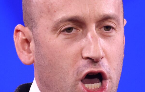 Stephen Miller duke folur