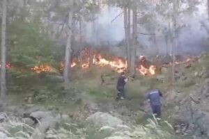 Zjarri në