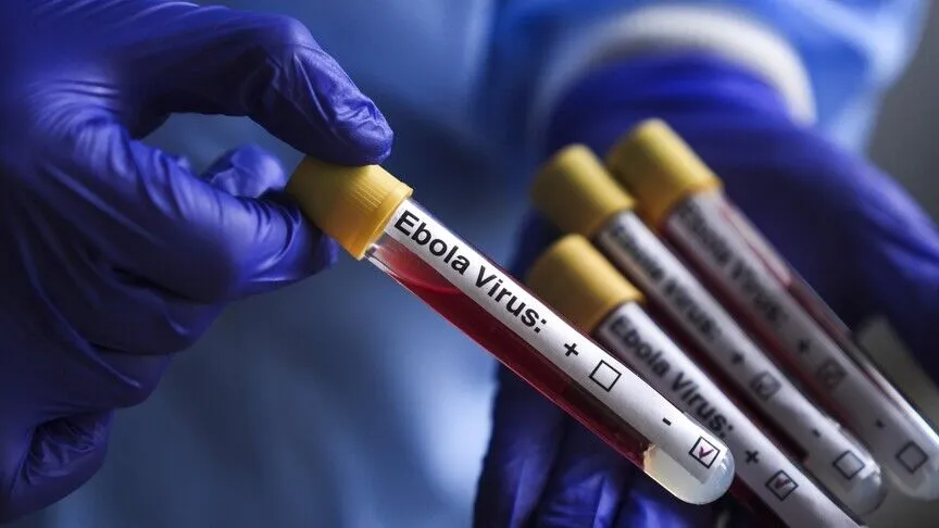 OBSH  Ebola po bie në disa zona  por epidemia vazhdon