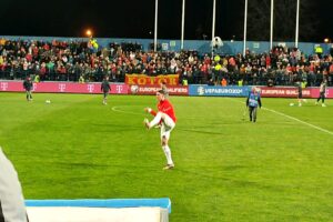 Dushan Vllahoviç me fanellën e Serbisë