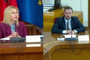 Debati politik në Komisionin e Kulturës