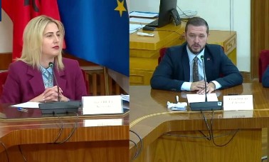 Debati politik në Komisionin e Kulturës