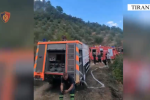në Kombinat dhe