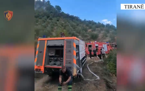 në Kombinat dhe