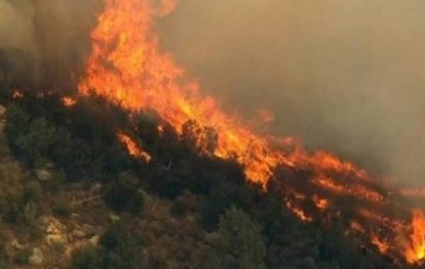 të Viroit në Gjirokastër,