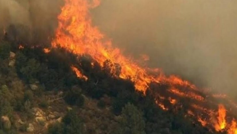 Zjarr i madh në Parkun Natyror të Viroit në Gjirokastër  dyshohet i qëllimshëm