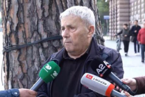 Shkulja e pllakës