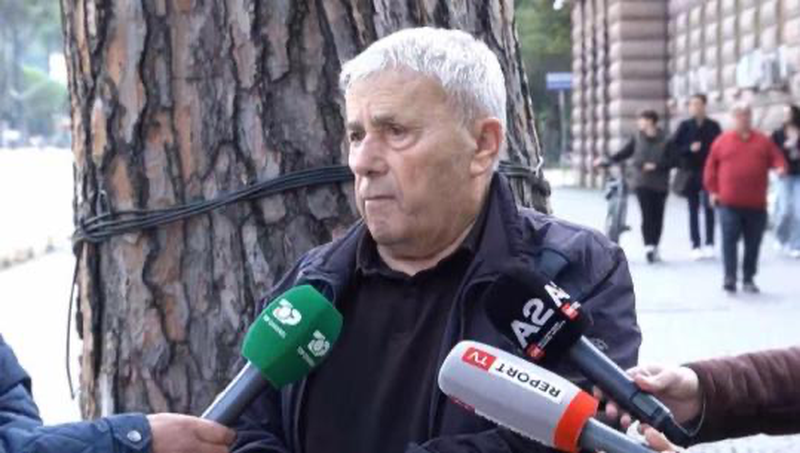Shkulja e pllakës